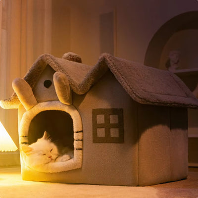 maison chat monchatluxome salon tamisé