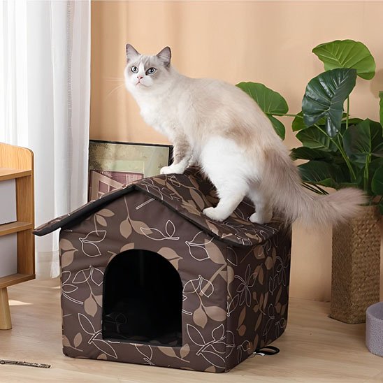 maison exterieur pour chat monchatimpercosy décoration intérieur maison