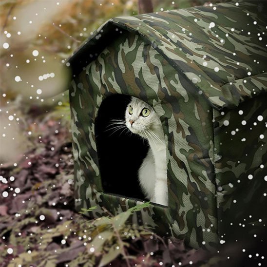 maison exterieur pour chat monchatimpercosy dehors