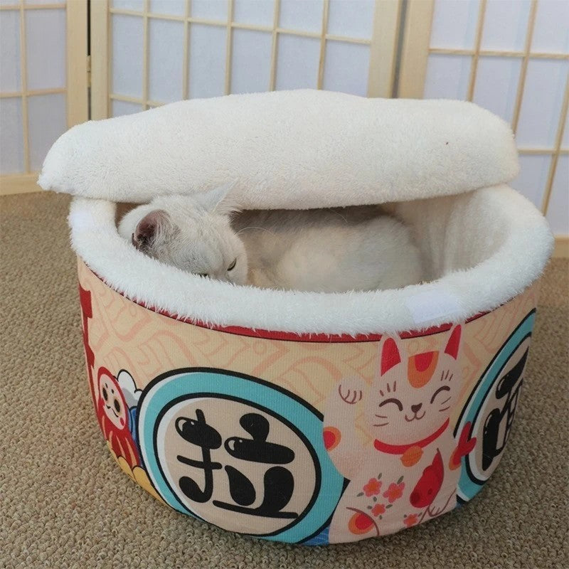 maison pour chat chat intérieur