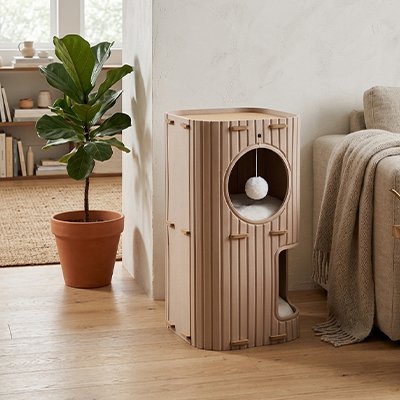 niche a chat monchatconfoniche design intelligent