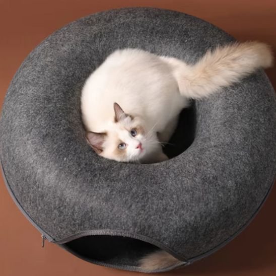 Niche à chat MonChatDoDonut forme beignet