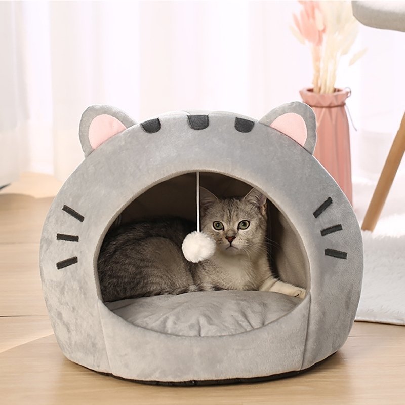 niche chat domichat intérieur chat