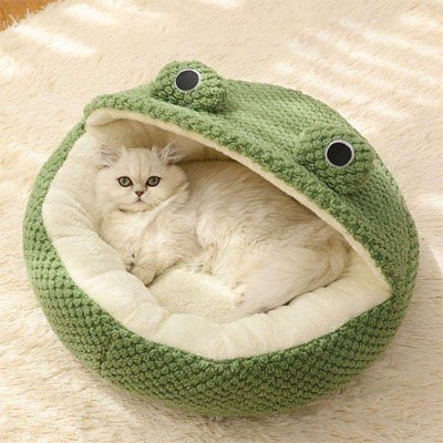 Niche chat MonChatGrenouille design élégant amusant