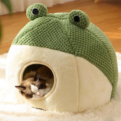 Niche chat MonChatGrenouille refuge sécuritaire