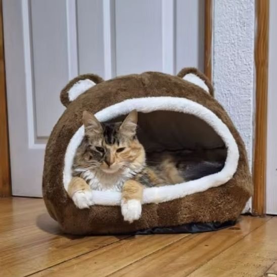 Niche chat MonchatReposDivin taille S