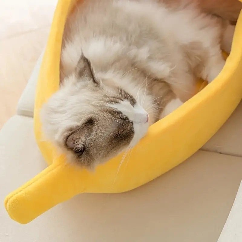 niche pour chat monchaban dodo