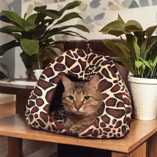 niche pour chat monchatcache chat dans niche