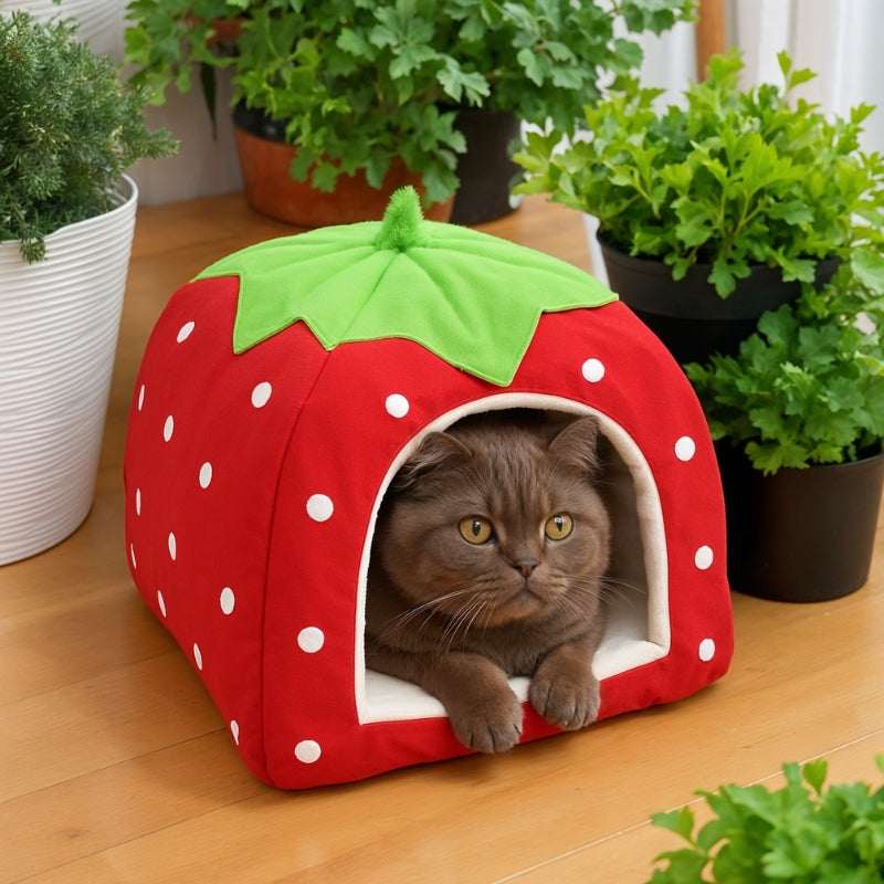 niche pour chat fraise rouge chat