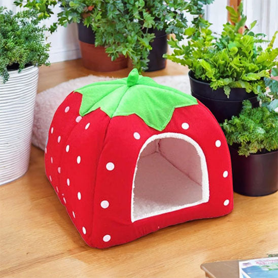 niche pour chat niche seule