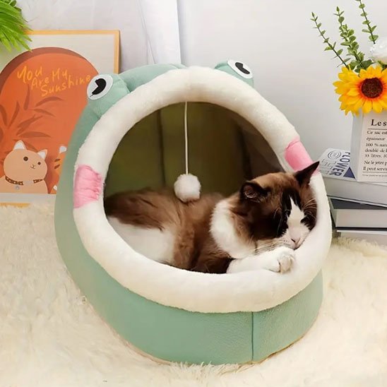 Niche pour chat MonChatCoinCalin vert L