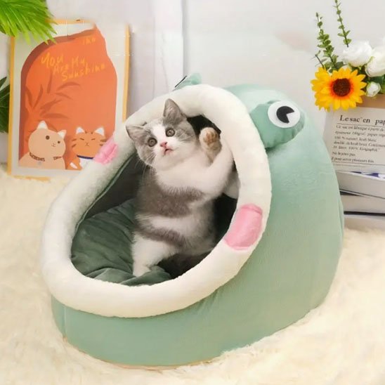 Niche pour chat MonChatCoinCalin vert M
