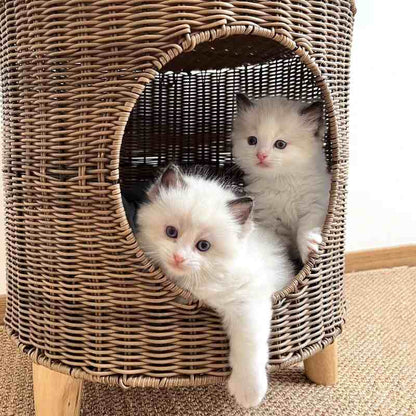 panier en rotin pour chat monchatcachotin pièce déco