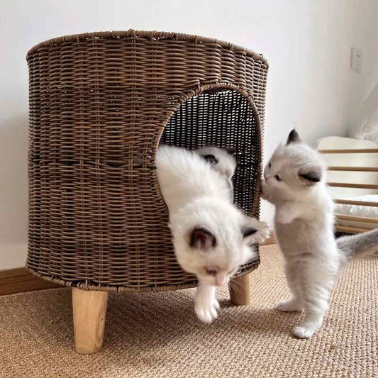 panier en rotin pour chat monchatcachotin robuste