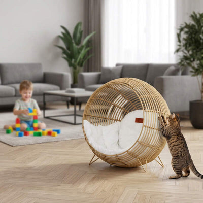 Panier osier pour chat MonChatMasieste robustesse-griffes
