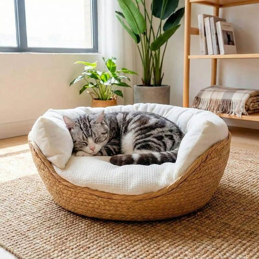 panier pour chat en osier confort avec coussin