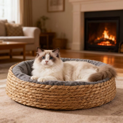 Panier pour chat en osier MonOsierDouillet embellit maison