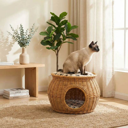 Panier pour chat en osier observation