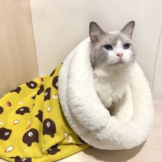 Panier pour chat MonChatCoconDouillet enveloppant