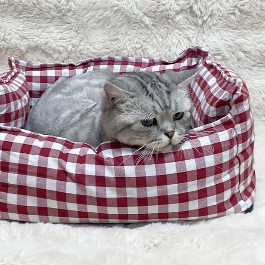 panier pour chat rouge