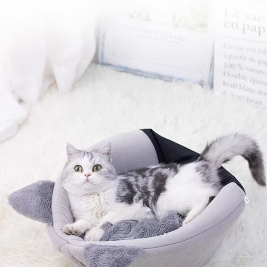 petite maison pour chat monchatminouse marrant sur toit