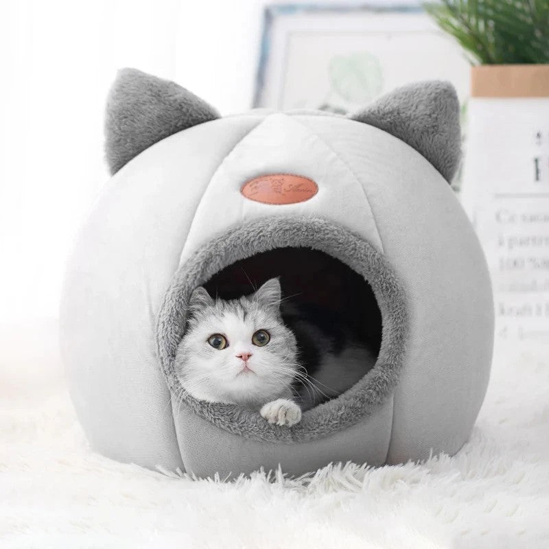 petite maison pour chat monchatminouse regarde cméra