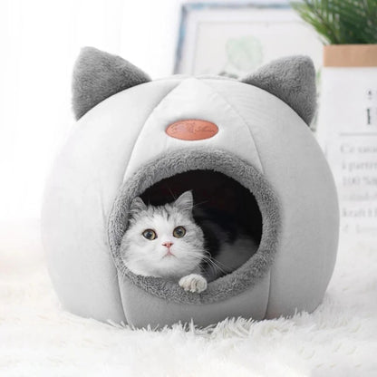petite maison pour chat monchatminouse regarde cméra