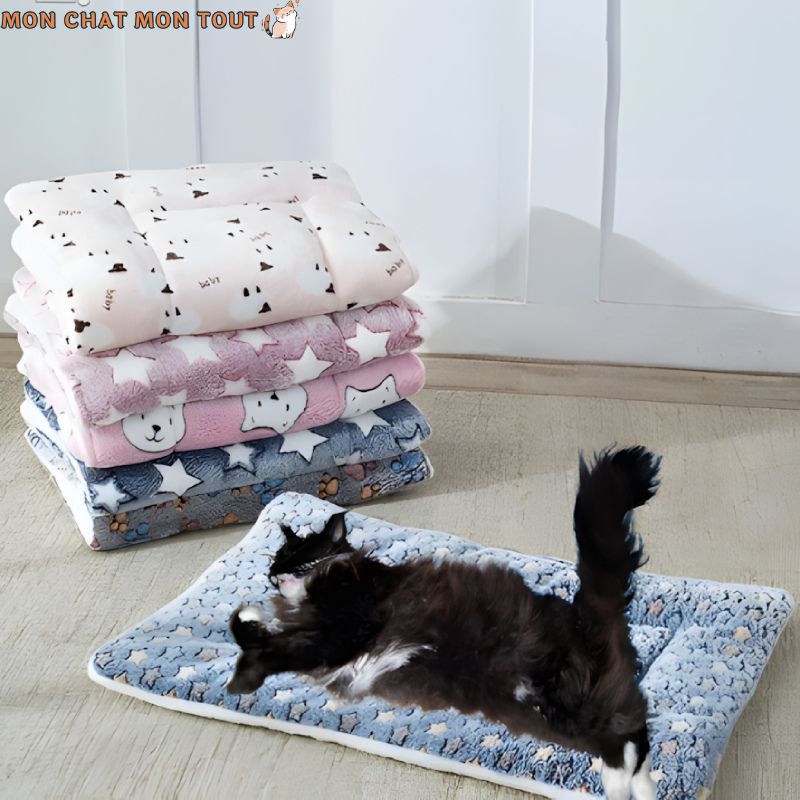 plaid-chat-etoiles-bleu