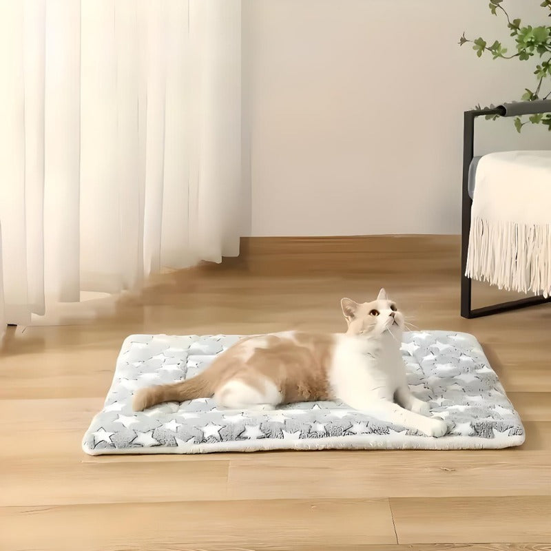 plaid-chat-étoile-gris
