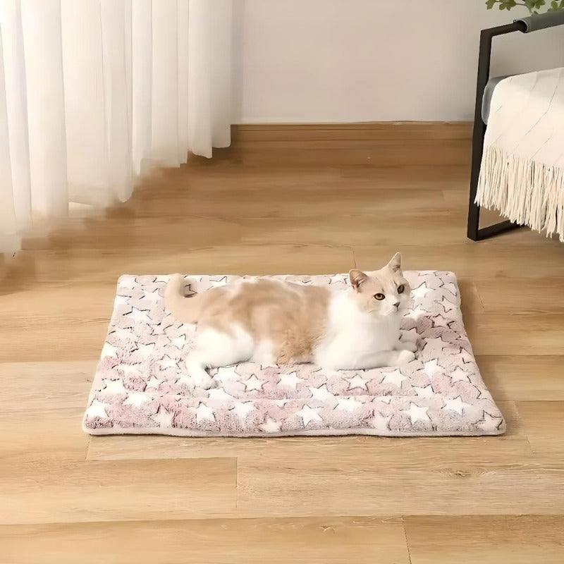 plaid-chat-étoile-rose