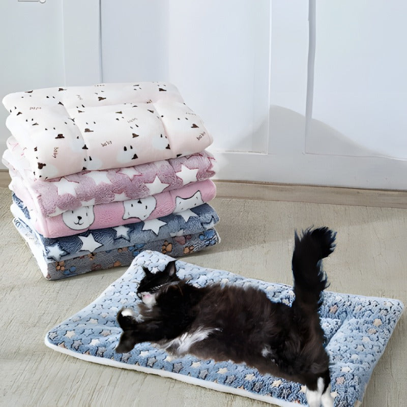 plaid-chat-étoiles-bleu