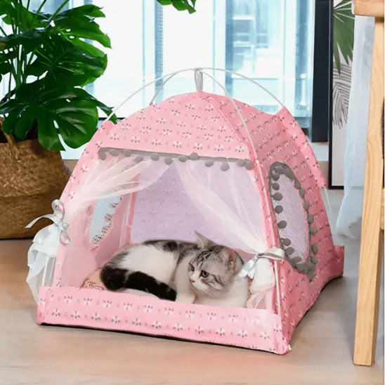 tente pour chat rose chat salon