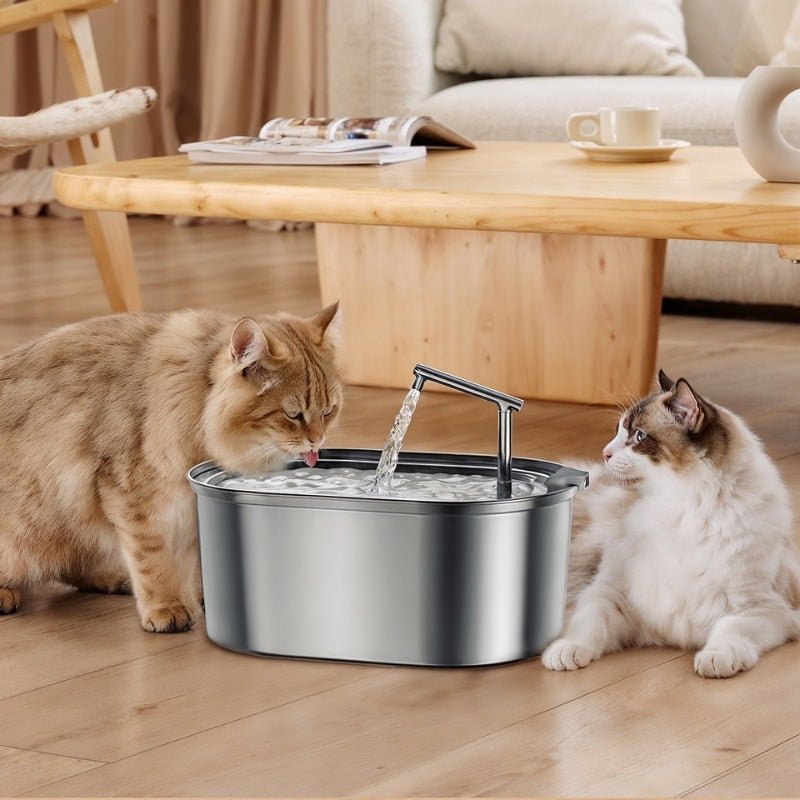 un chat boit un chat allongé fontaine a eau pour chat