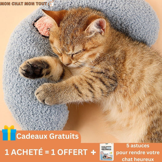 Coussin-chat-soutien-du-cou-cadeau