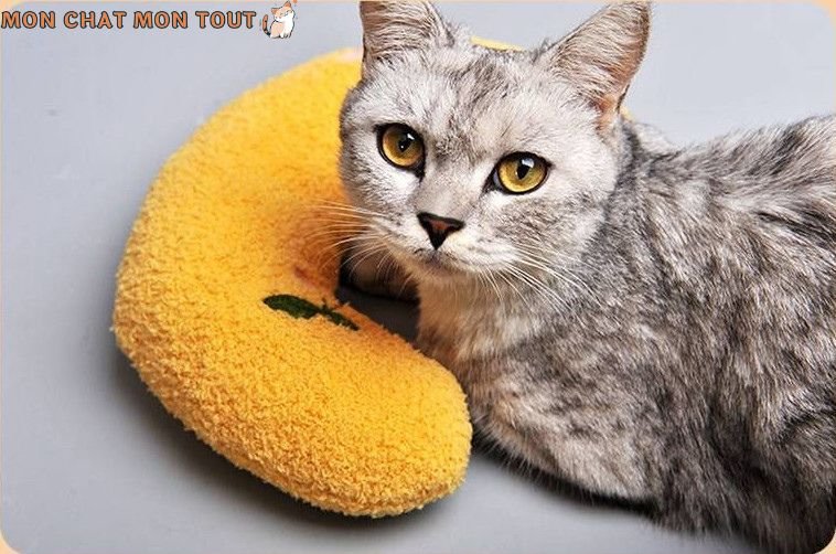 Coussin-chat-soutien-du-cou-jaune