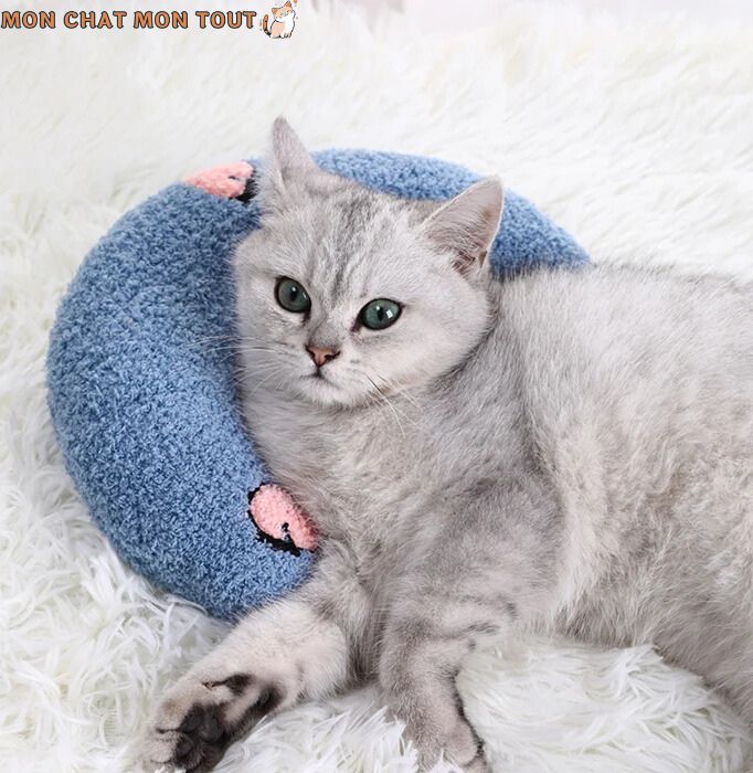 Coussin-chat-soutien-du-cou-bleu