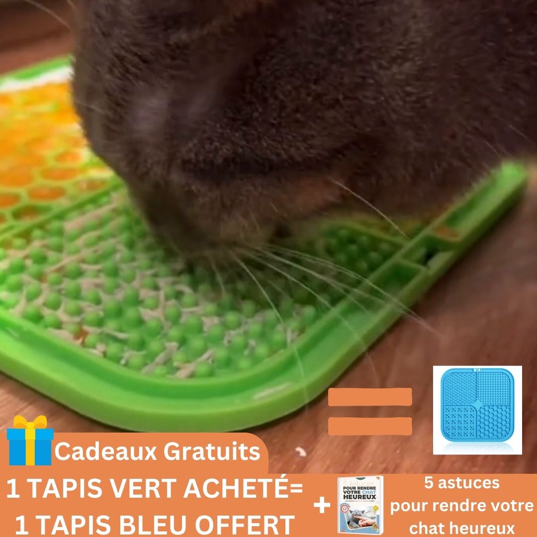 tapis-de-lechage-vert